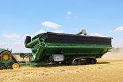 Brent 3298 Helping Harvest in Wheat Field