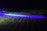 Blue-Light Package